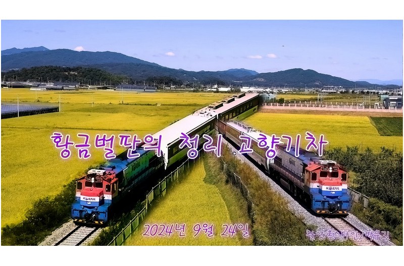 황금벌판고향기차