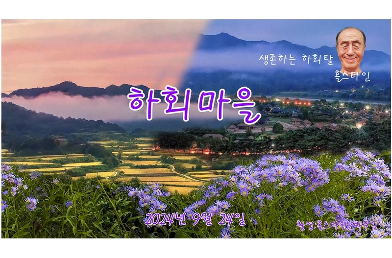 하회마을개미취-생존하는하회탈#