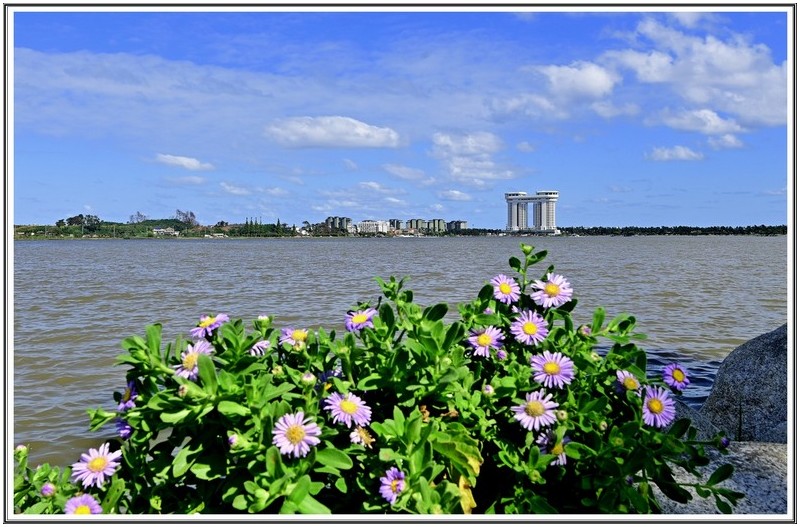 해국이 있는 경포호숫가