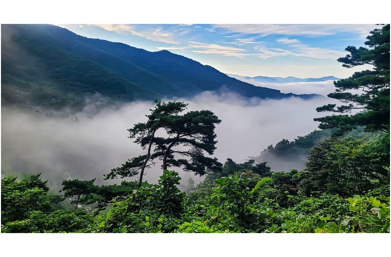 가을이 오는 소리