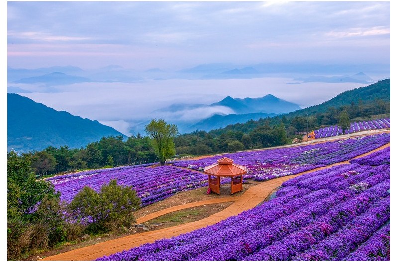다시 찾은 감악산