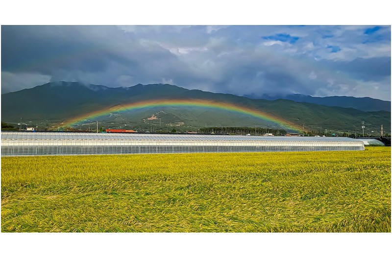 오랜만에 봅니다