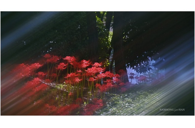 스처가는 바람과 빛속에 ---