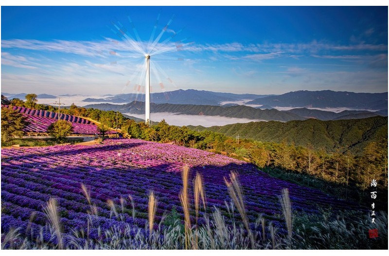 감악산 바람의언덕