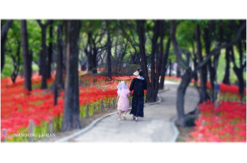 손녀를 데리고 나들이  --