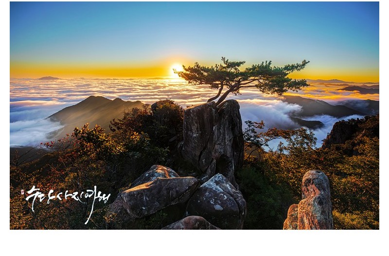 대둔산의 가을아침