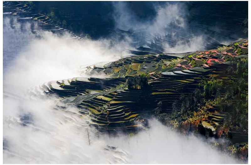 다랭이논과 운무