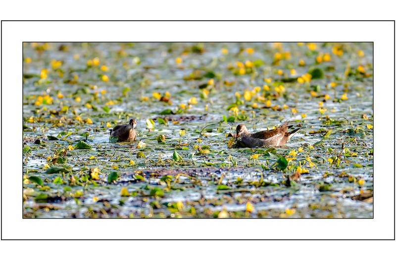 국가정원에서...