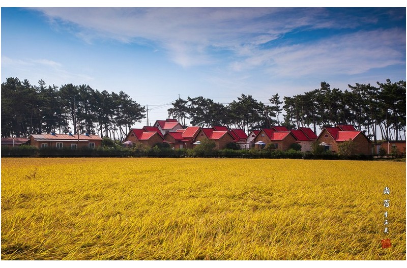 아름다운 주택과 가을들녁