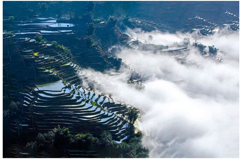 운무속 다랭이 논