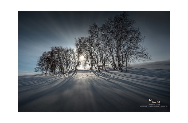 저 숲속에 찬란한 빛이