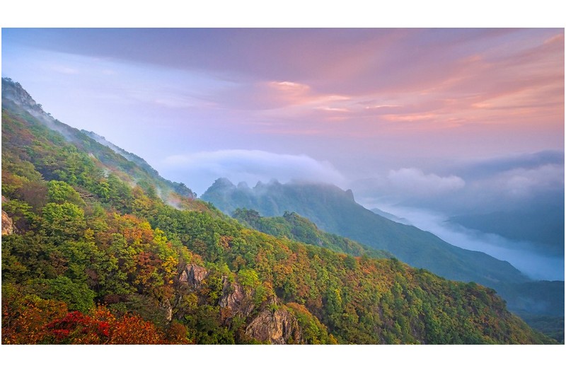 바람이 휘몰아치던 날