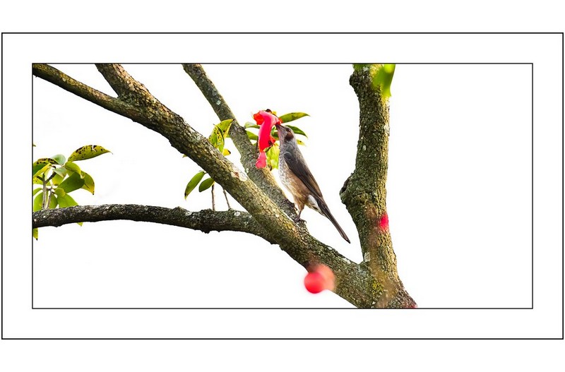 직바구리 식사중...