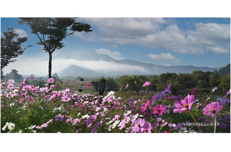 가을의 어느 좋은 날 ----