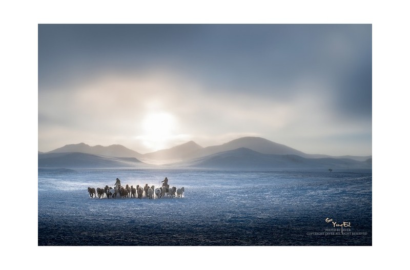 징기스칸의 후예들