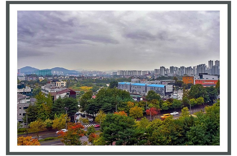 도농 가을  ( 秋 )  단풍................