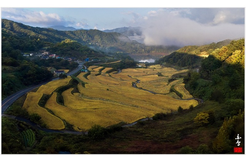 운해가 드리운 아침