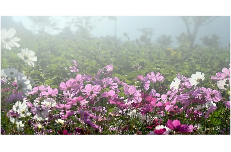 가을의 스케치 -----