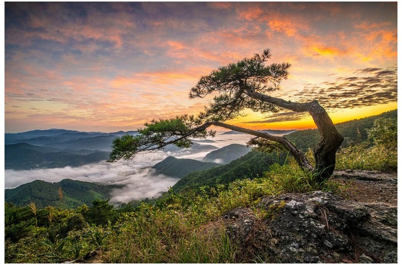 아침을 여는 시간