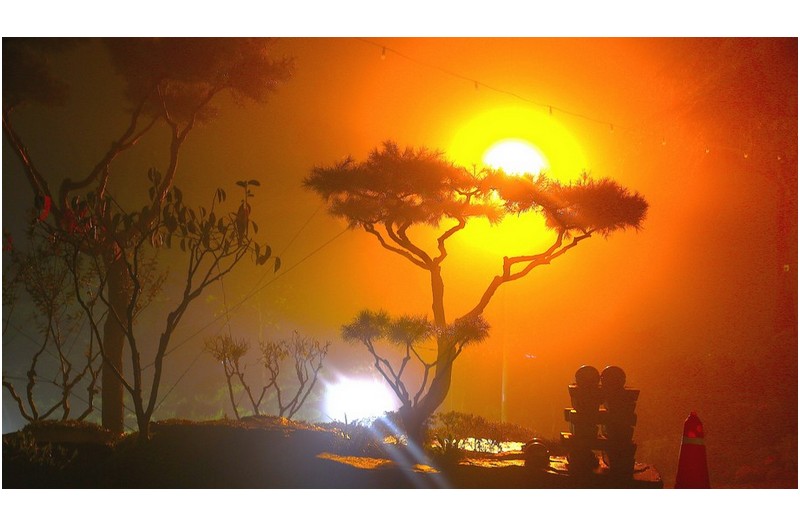 비오는 날 소품