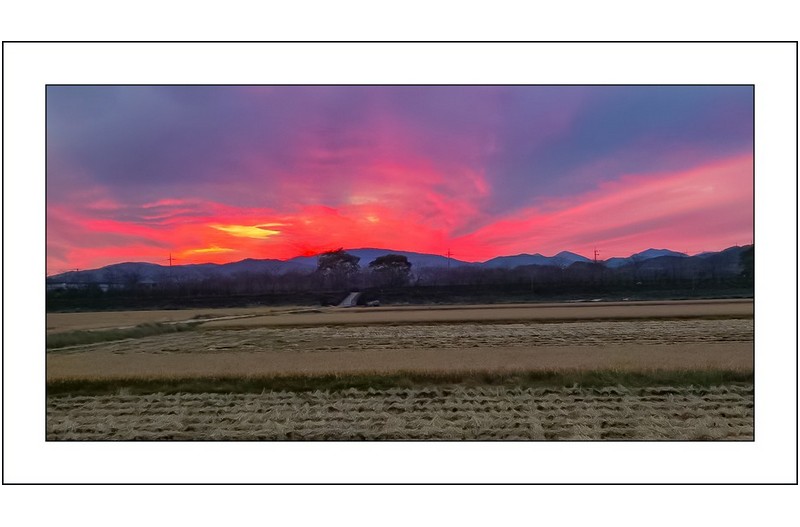 순천만의 일몰...