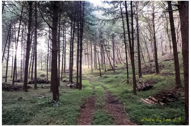 가을이 오는 길
