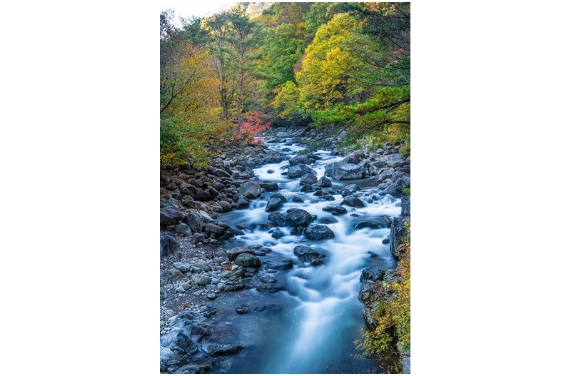 뱀사골의 아침서정