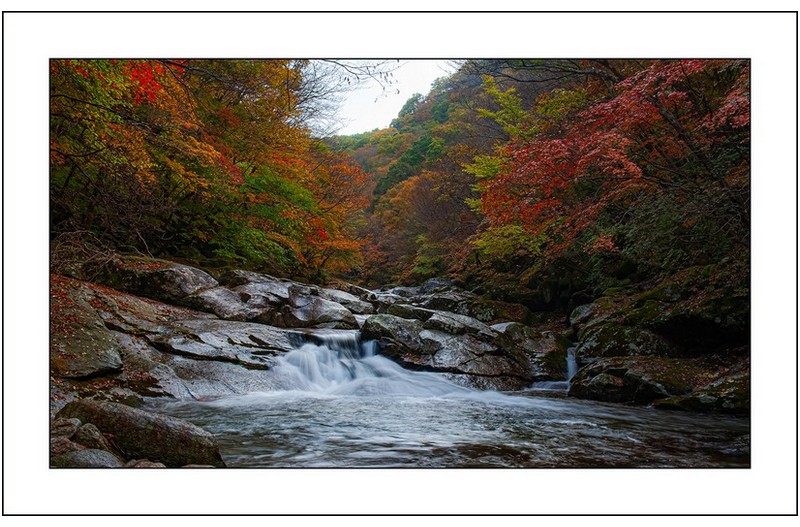 지리산의 가을2