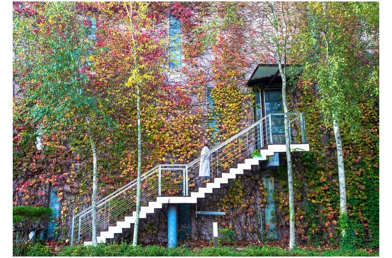 깊어 가는 가을