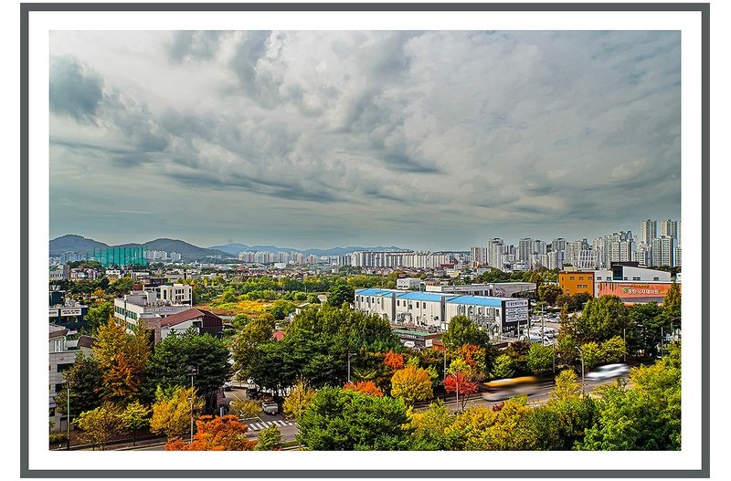 아름다운자연   ( 秋 )