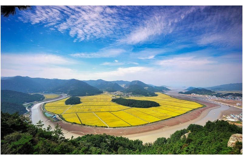 물돌이 가을들녘