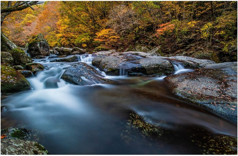 가을 빛 고운 계곡