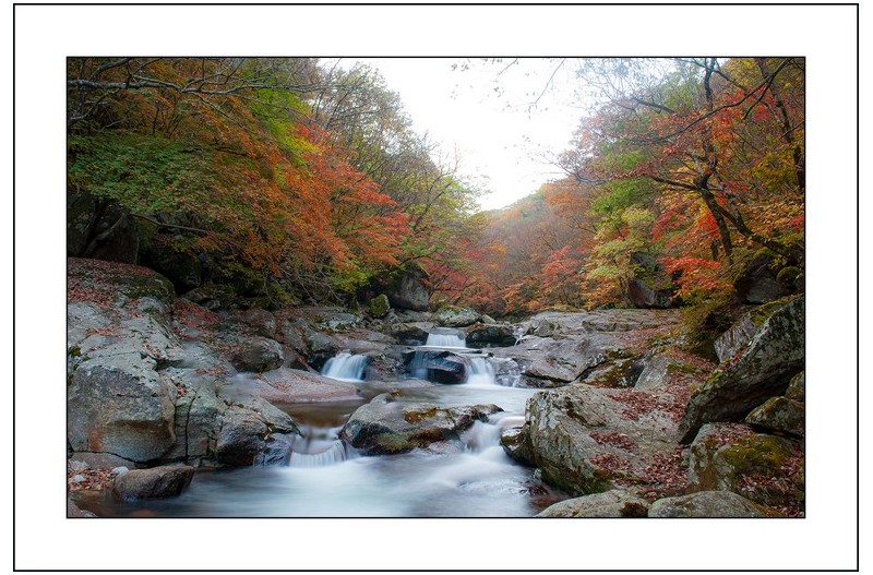 지리산의  가을..