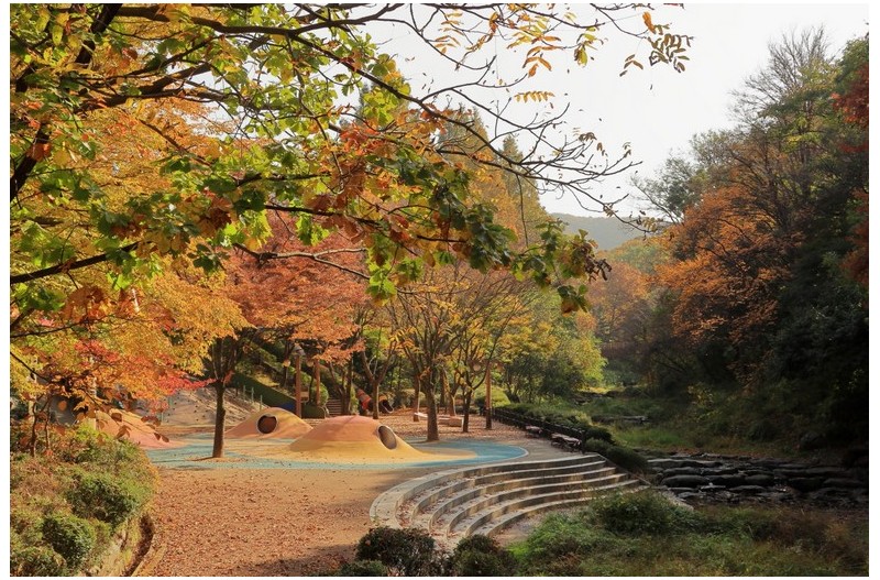 서울대공원의 가을