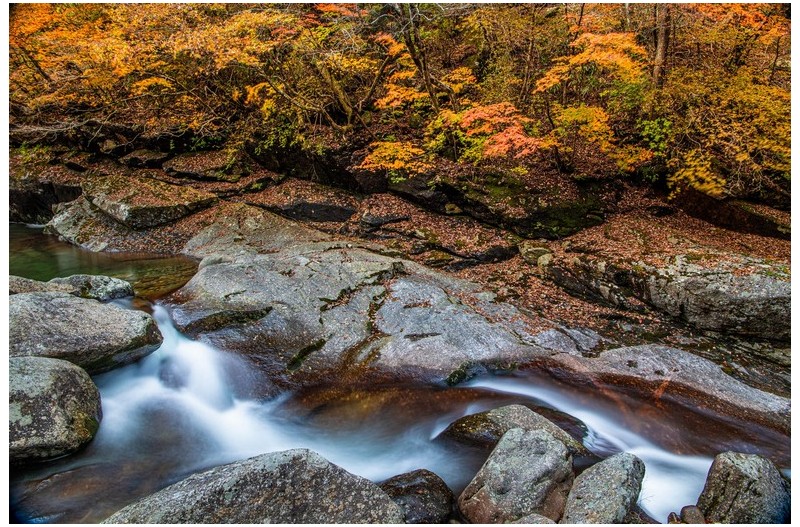 가을 빛 고운 계곡