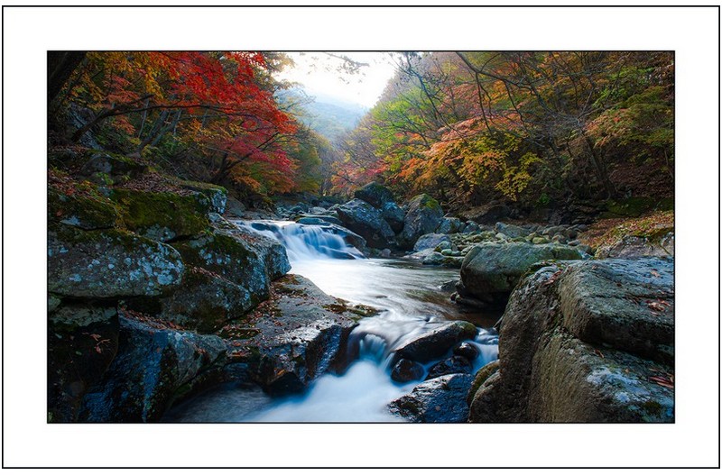 뱀사골의 가을..