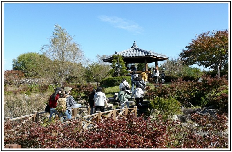 현장실습 유치원 생과 성인 학생