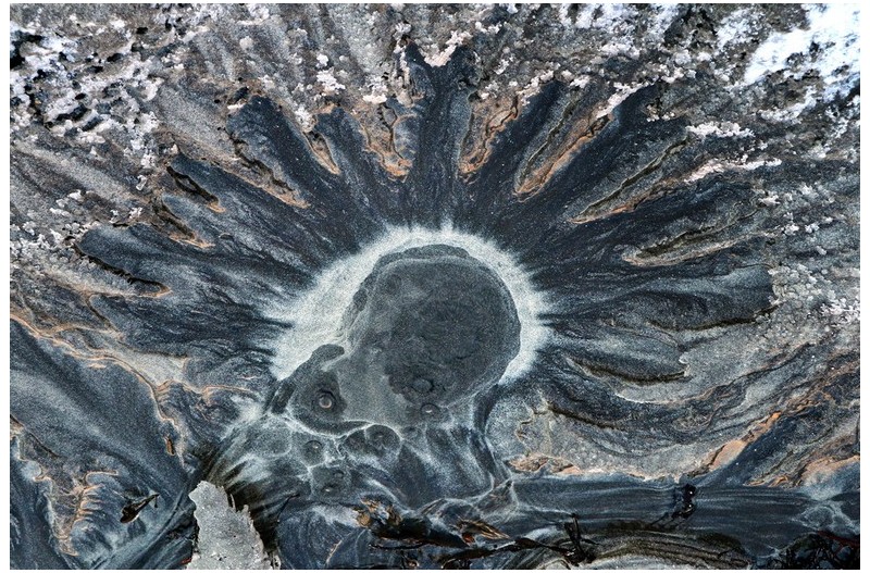 파도가 그린 그림