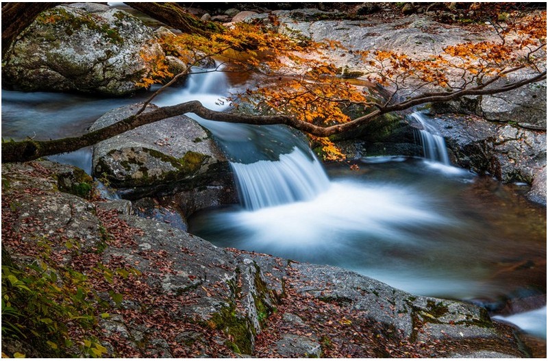 가을 빛 고운 계곡