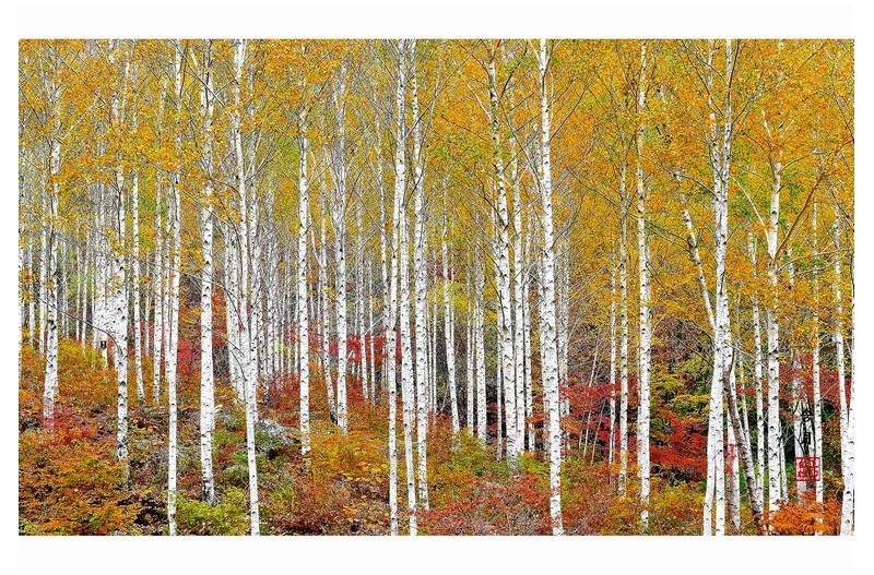 당신을 기다립니다. #2