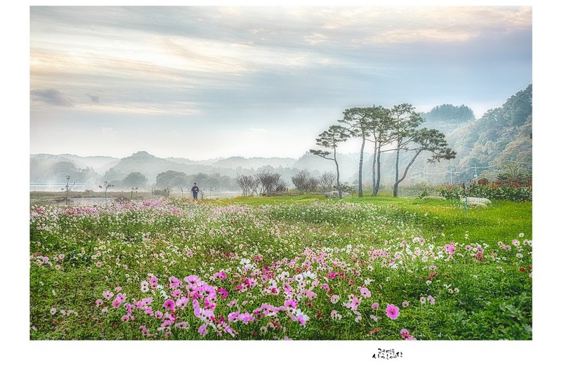 새벽바람 지날 때