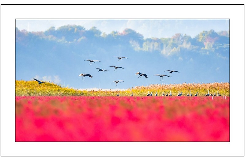 순천만의  오후..