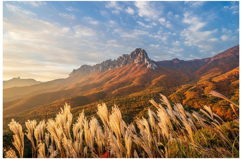 울산암의 가을소식