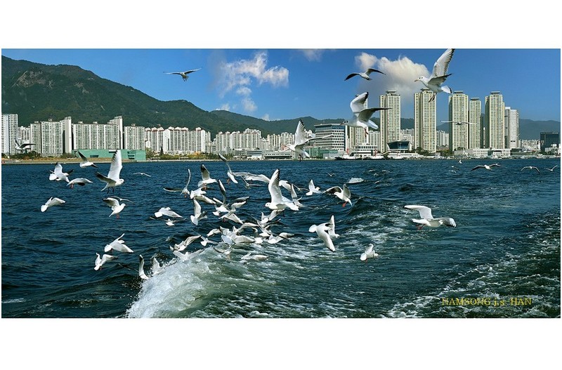 돝섬으로 가는 길에 ------