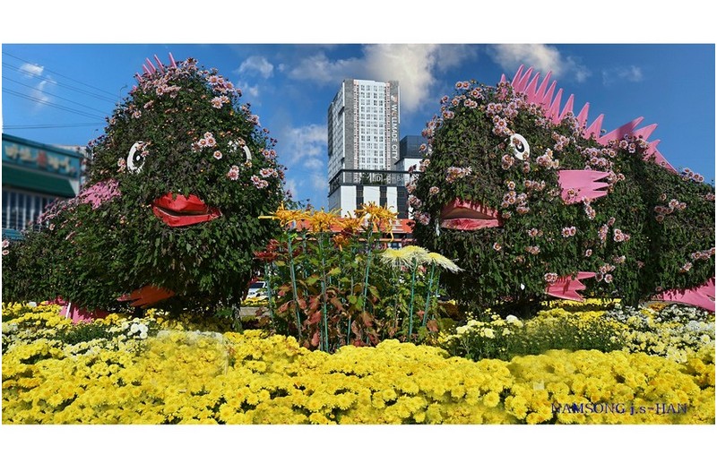 국화꽃 축제장에서 ----