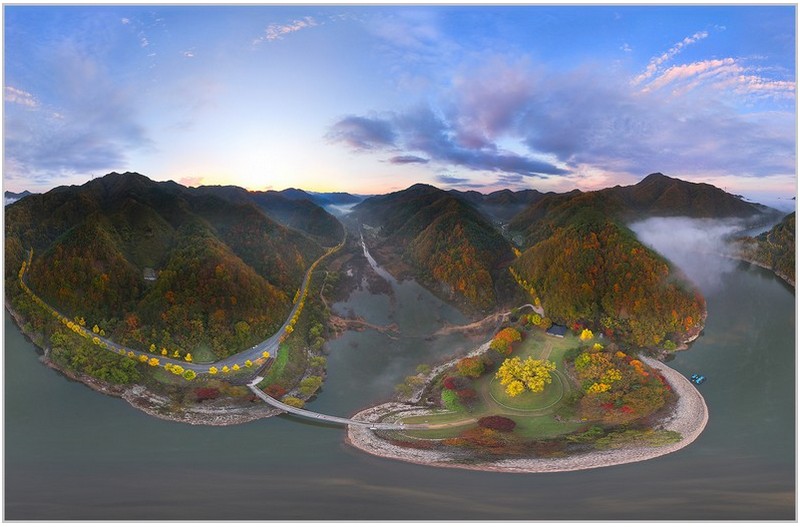 용계의 은행나무