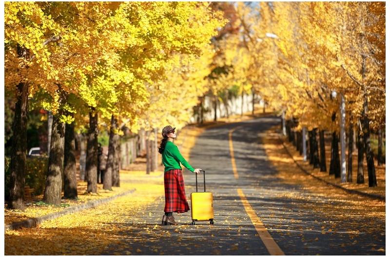 가을 낭만을 찾아서