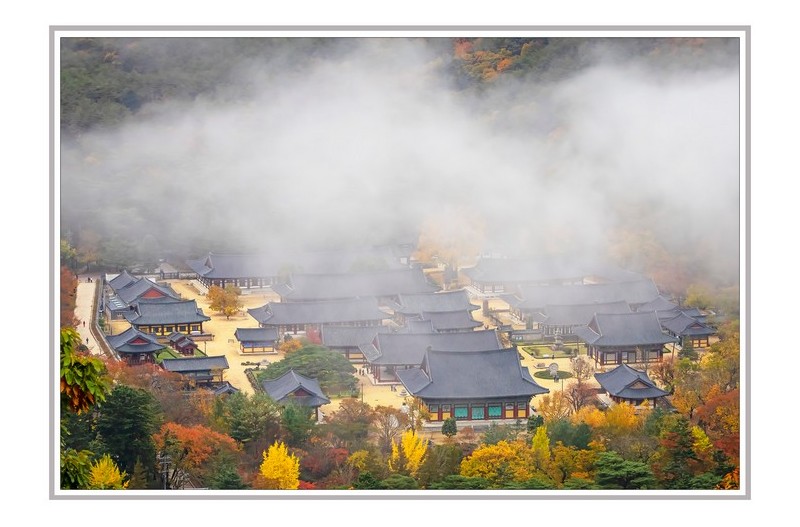 운문사의 가을 아침