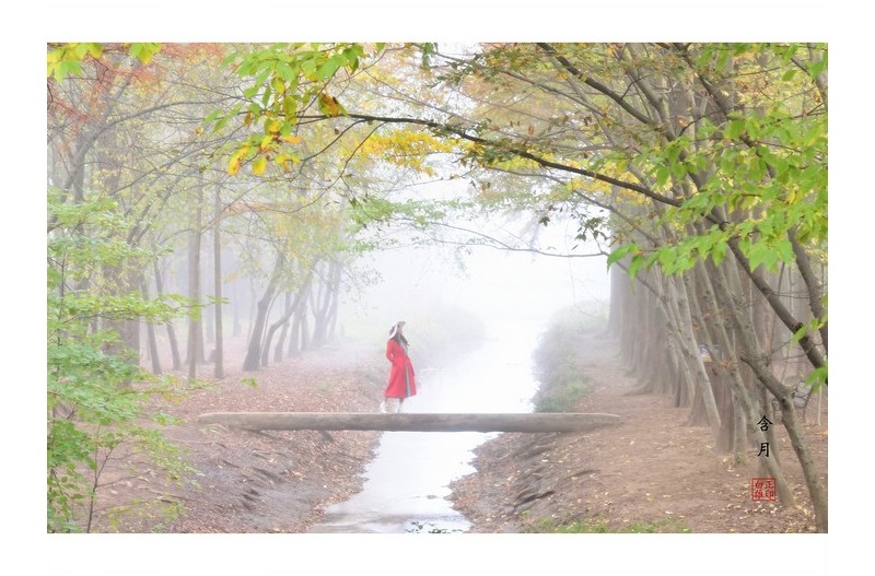 낭만의 외나무다리