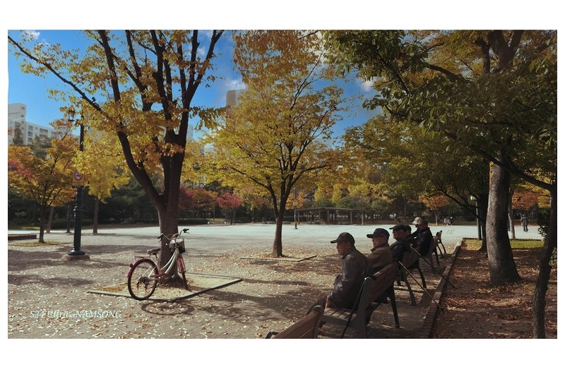 늦가을의 오후 ---